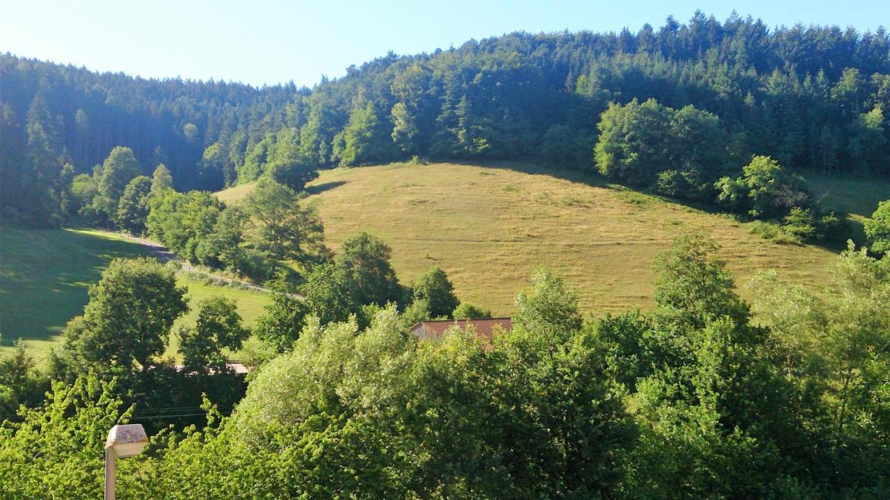 Hotel Gasthof Zur Krone Oberzent Kültér fotó
